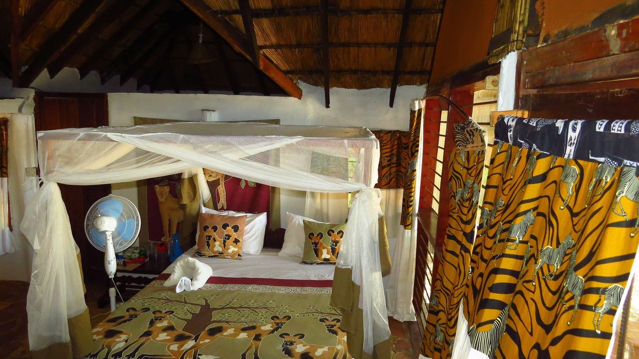 Photo of Others in South Luangwa National Park