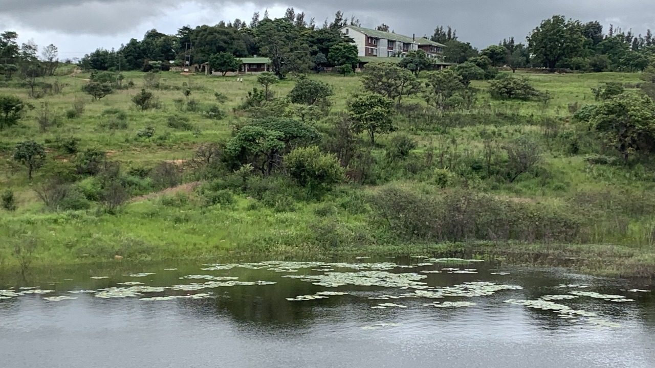 Photo of Outdoor in Juliasdale