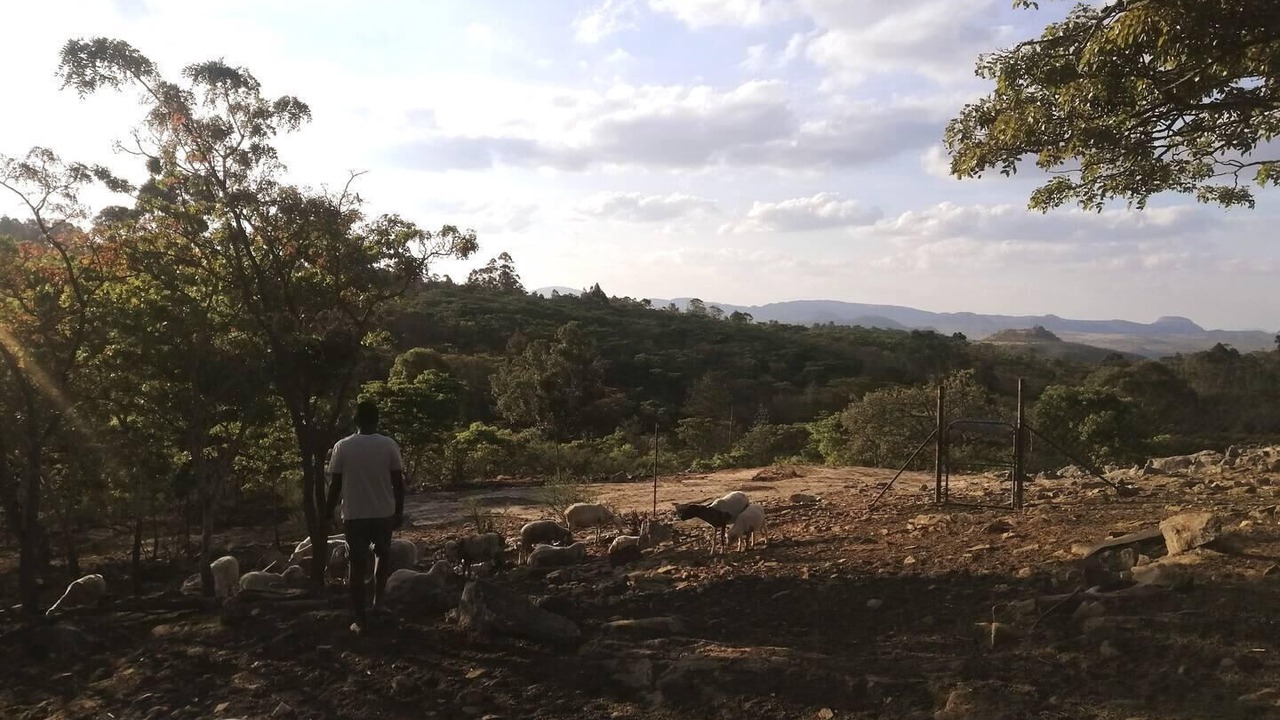 Photo of Outdoor in Juliasdale