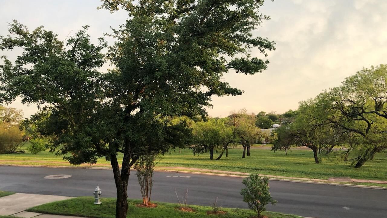Photo of Others in Mahncke Park