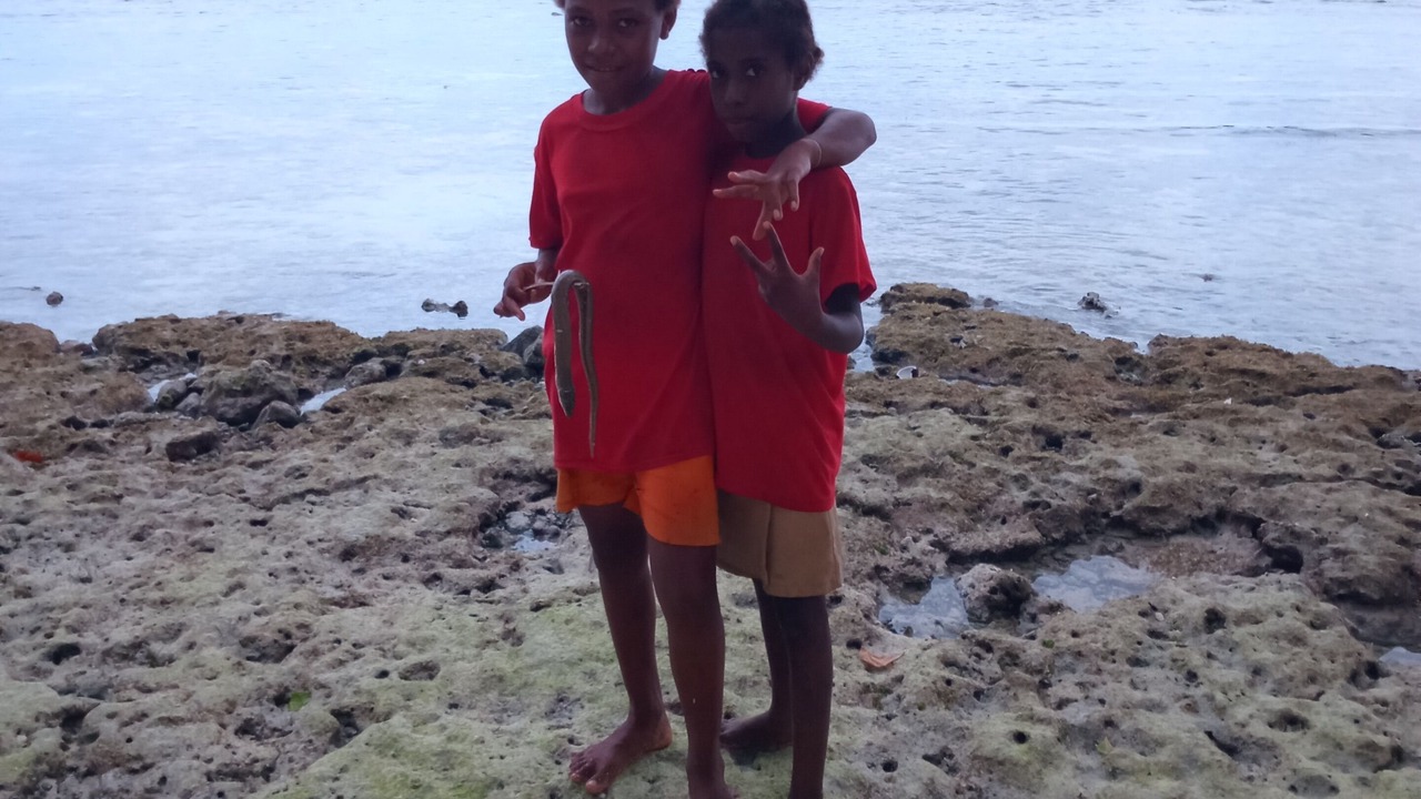 Photo of Others in Tingwon Island