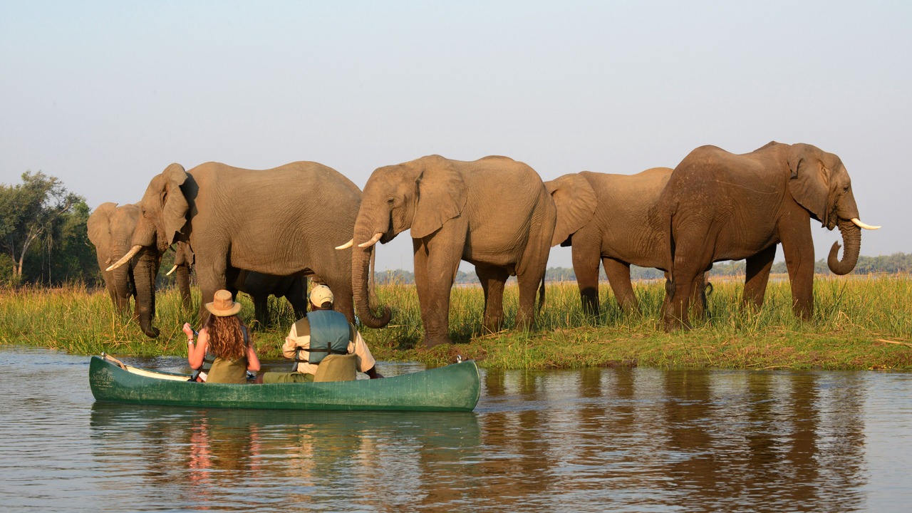 Photo of Others in Lusaka Province