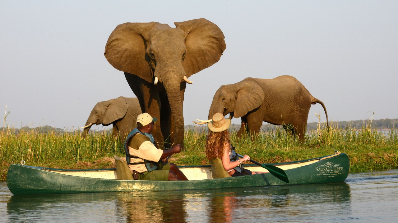 Photo of Others in Lusaka Province