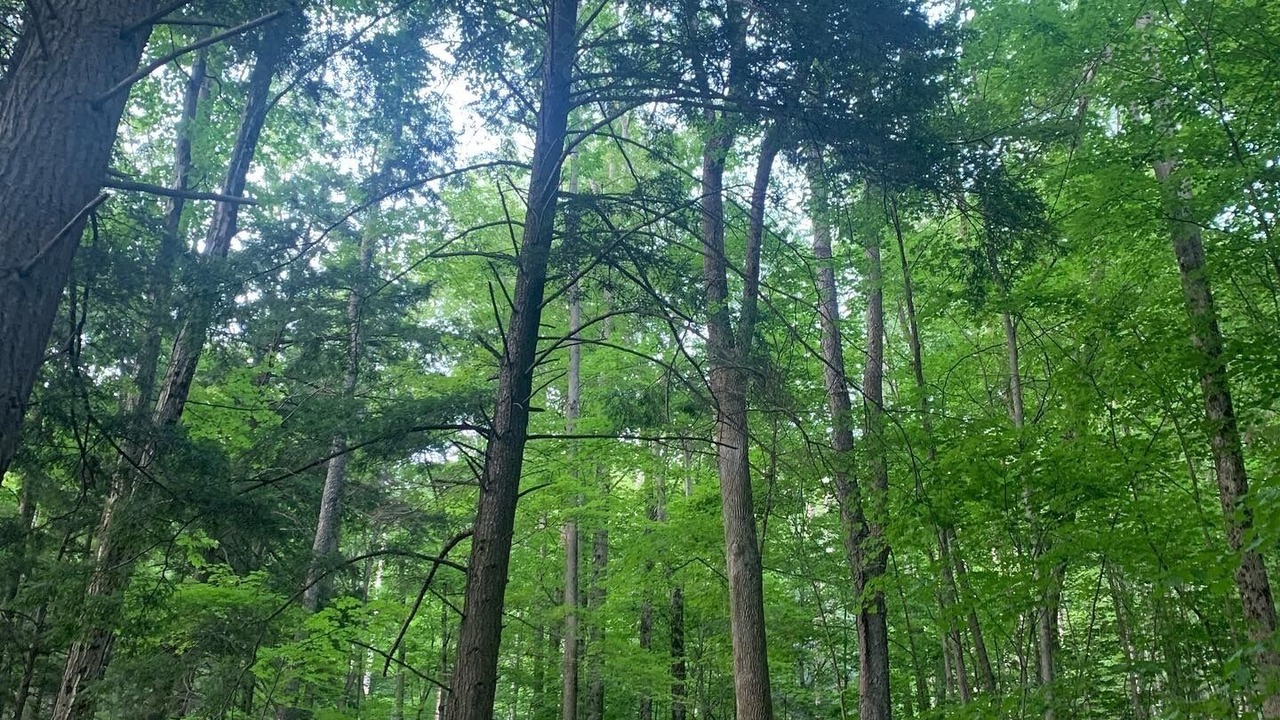 Photo of Outdoor in Montpelier