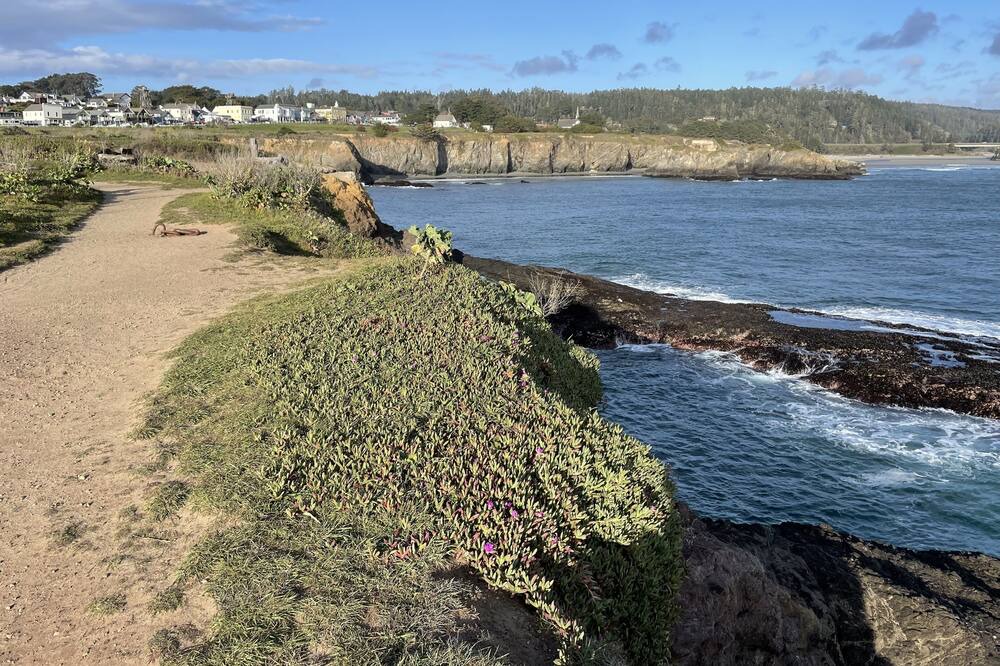 Photo of Outdoor in Mendocino