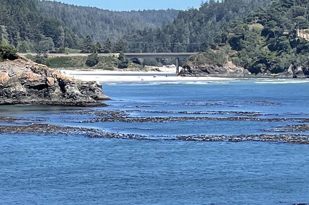 Photo of Outdoor in Mendocino