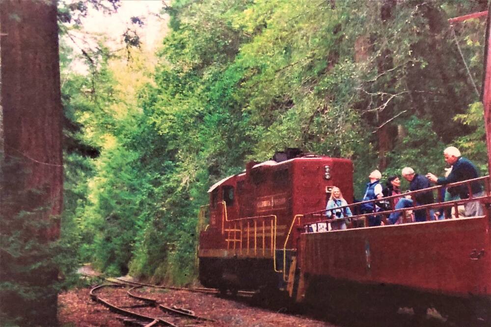 Photo of Others in Mendocino