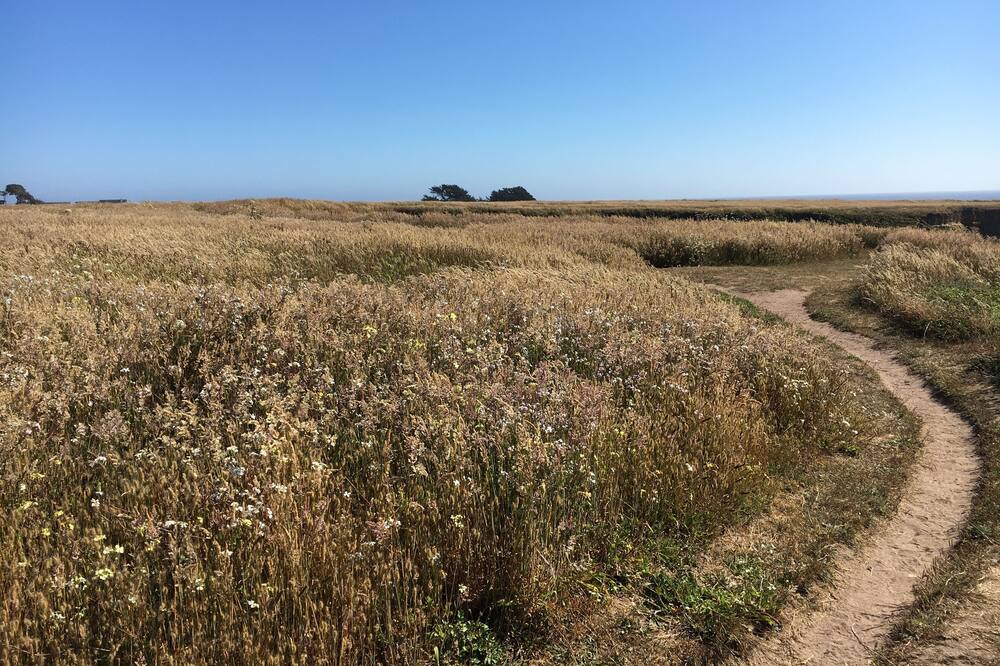 Photo of Others in Mendocino