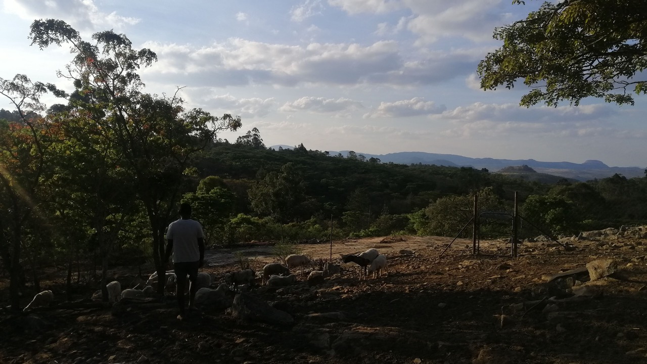 Photo of Others in Juliasdale