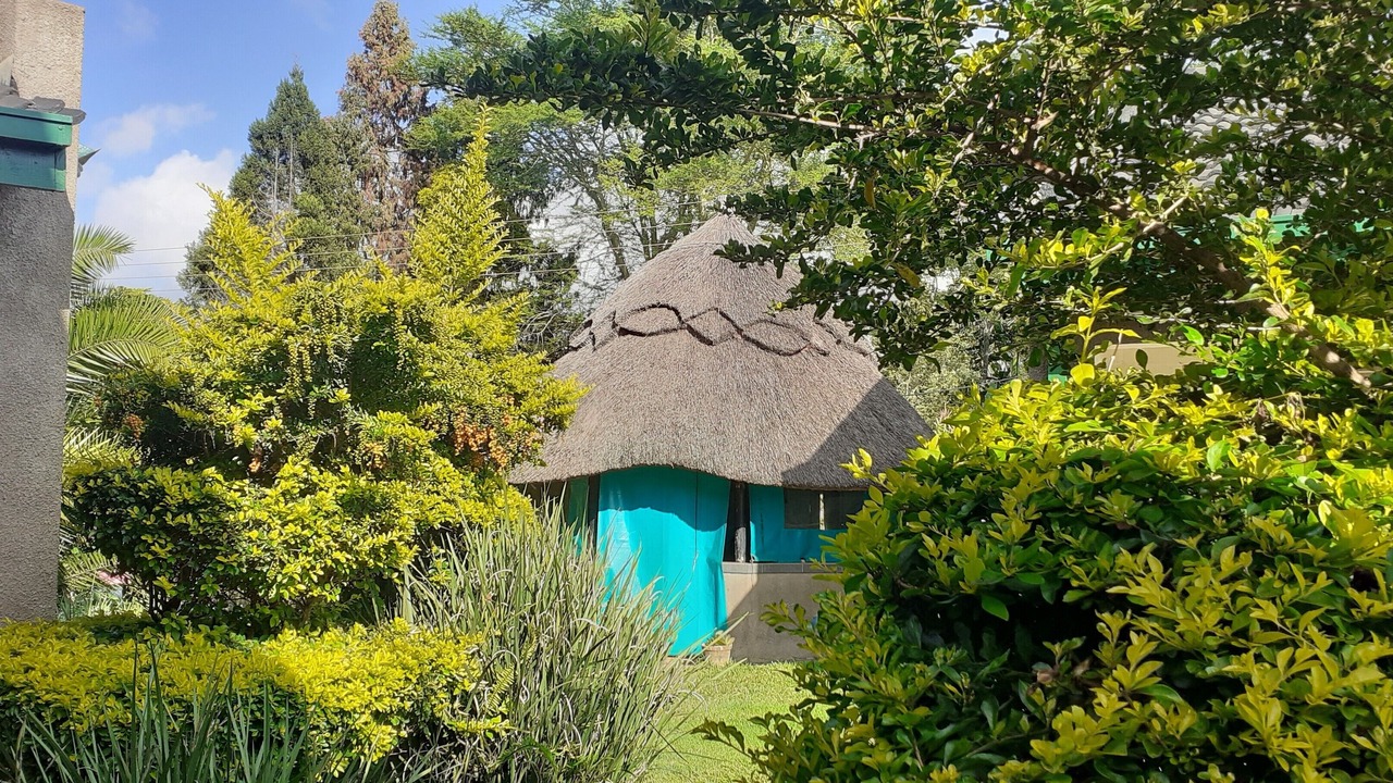 Photo of Outdoor in Harare