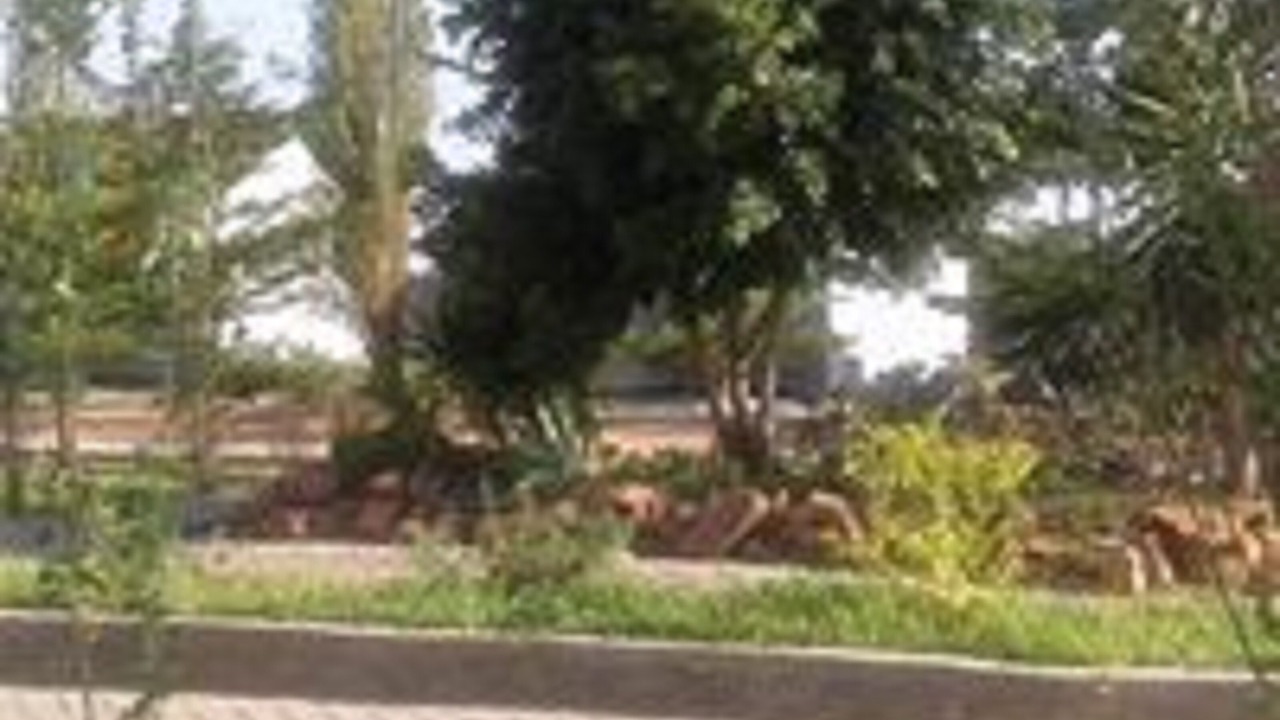 Photo of Outdoor in Lusaka