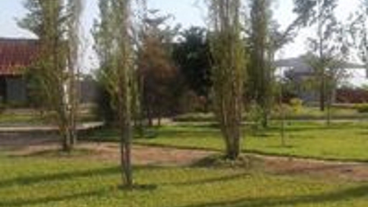 Photo of Outdoor in Lusaka