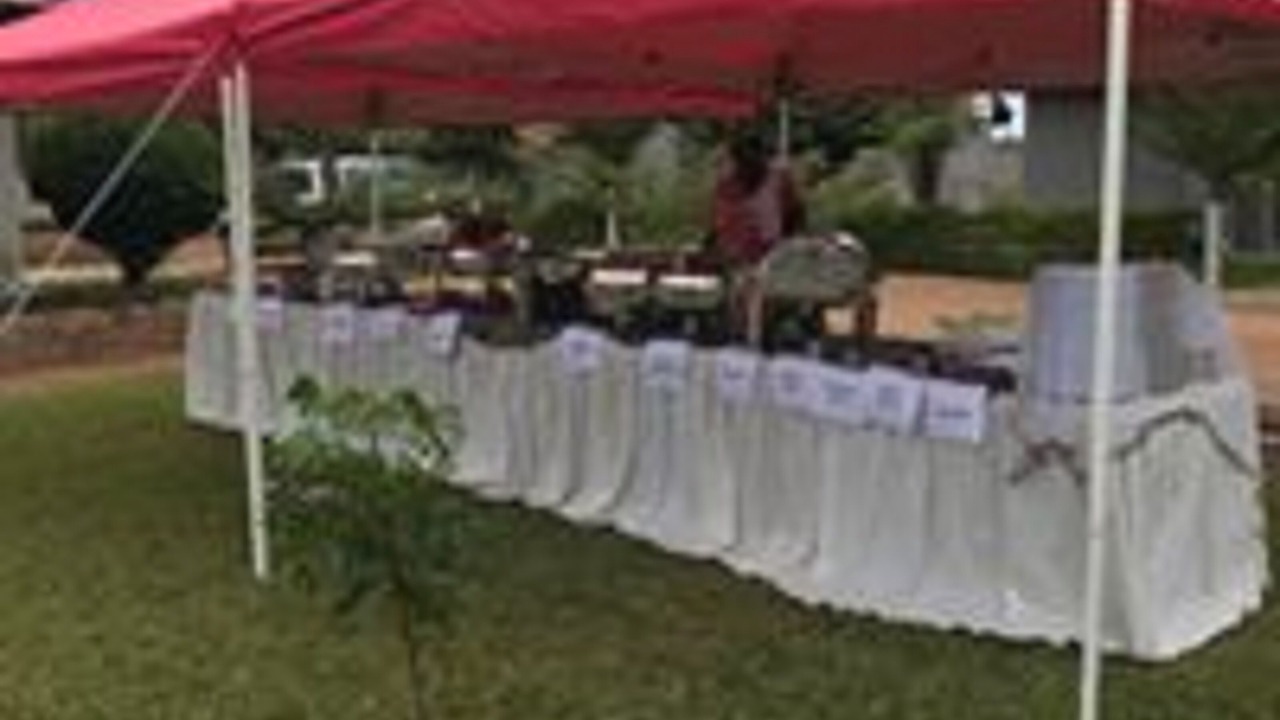 Photo of Outdoor in Lusaka