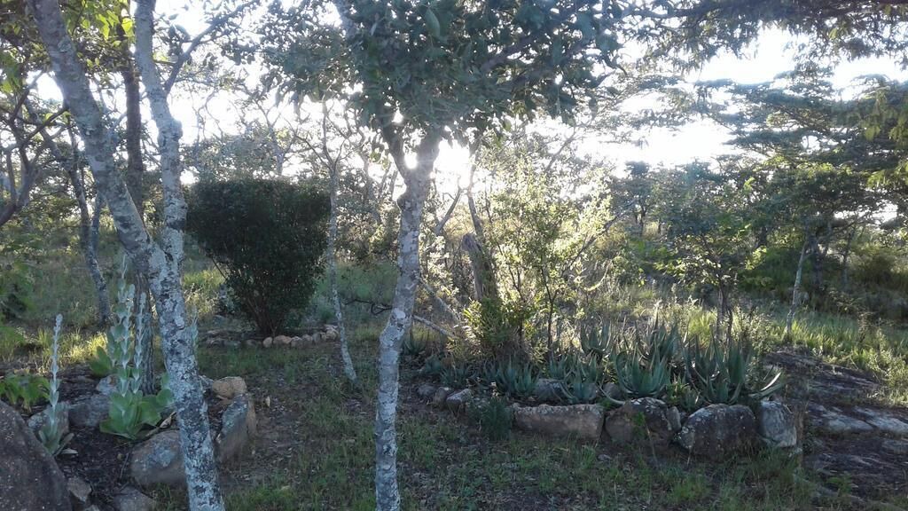 Photo of Outdoor in Juliasdale