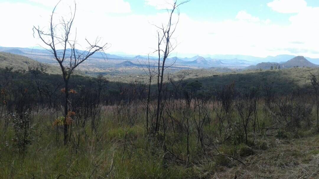 Photo of Outdoor in Juliasdale