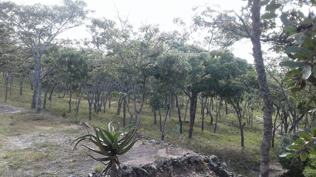 Photo of Outdoor in Juliasdale