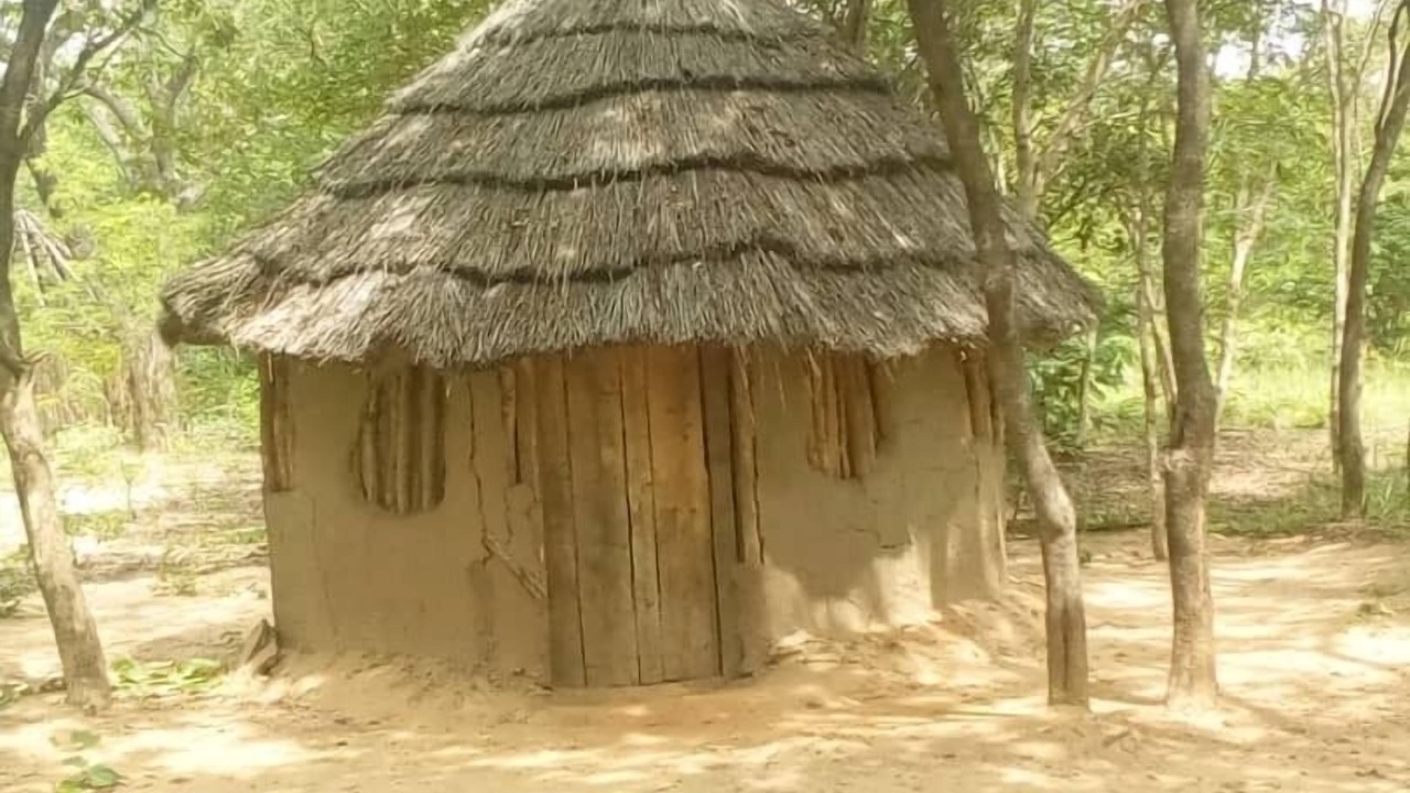 Photo of Outdoor in Victoria Falls