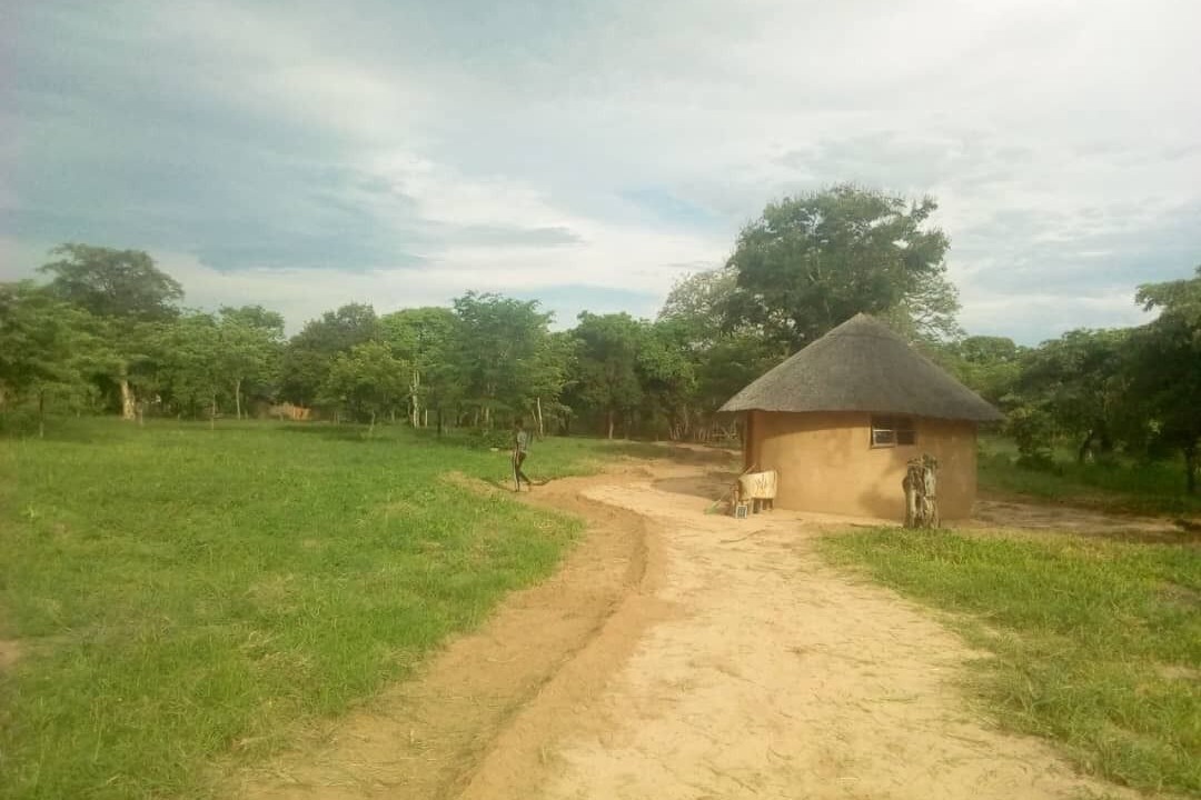 Photo of Outdoor in Victoria Falls