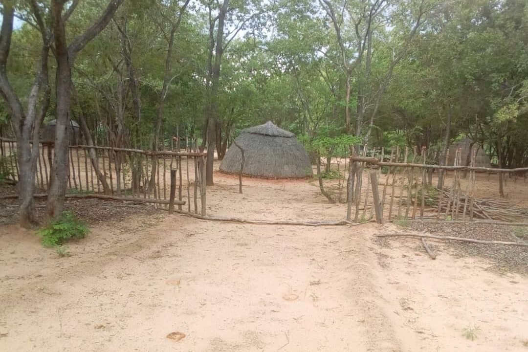 Photo of Outdoor in Victoria Falls