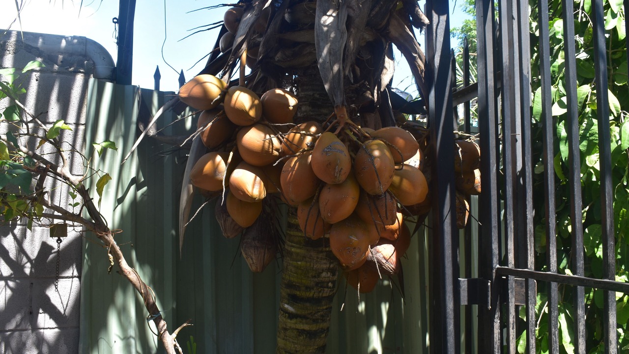 Photo of Outdoor in Port Moresby