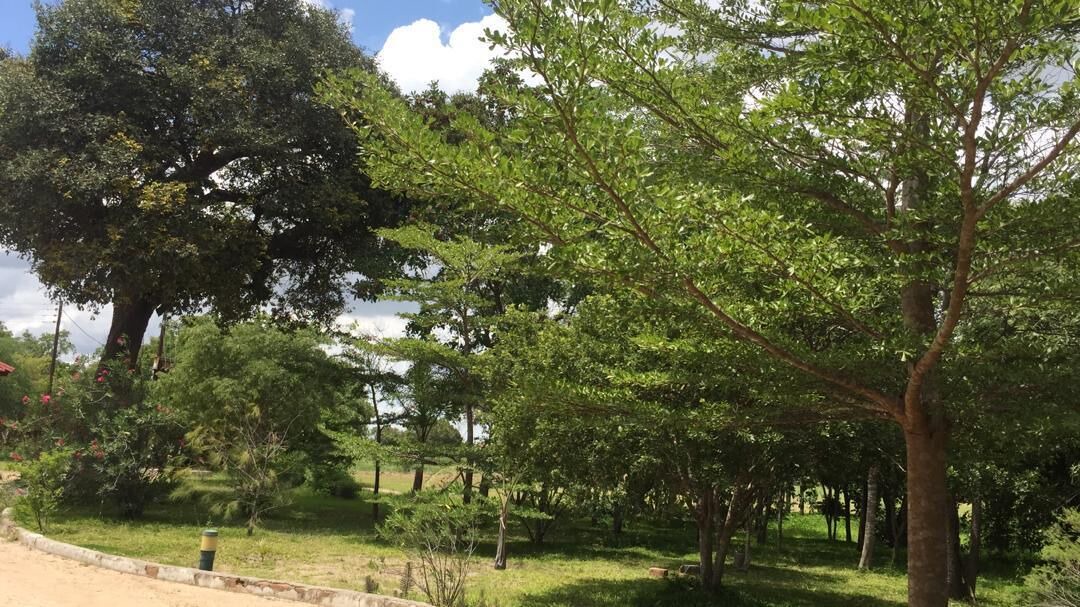 Photo of Outdoor in Chisamba