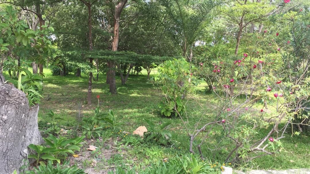 Photo of Outdoor in Chisamba