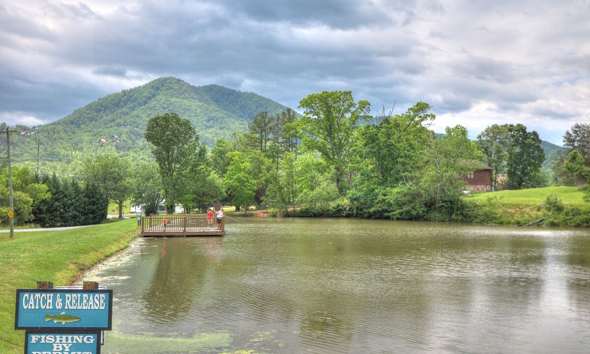 Photo of Outdoor in Wears Valley