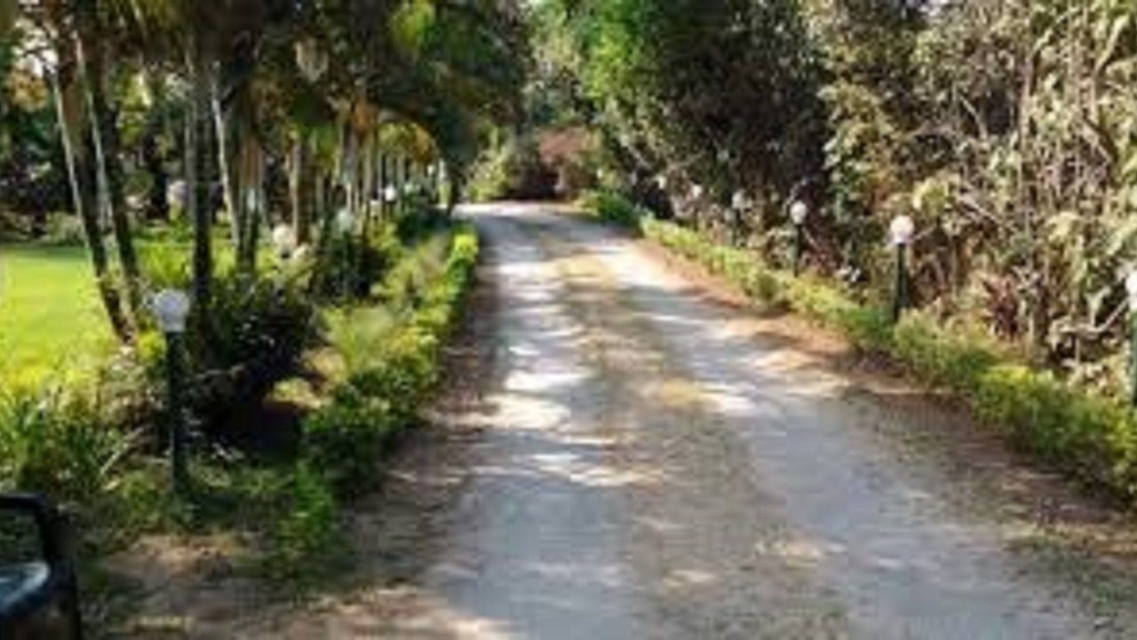 Photo of Outdoor in Ndola