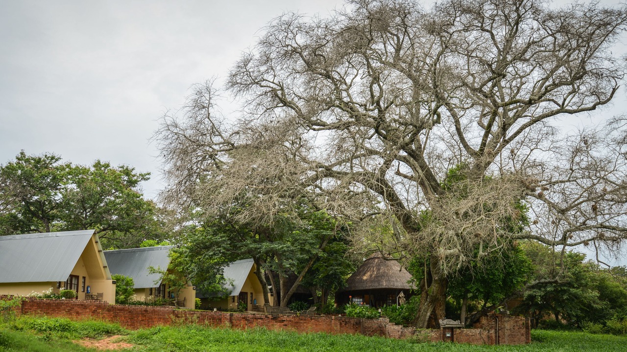 Photo of Outdoor in Victoria Falls