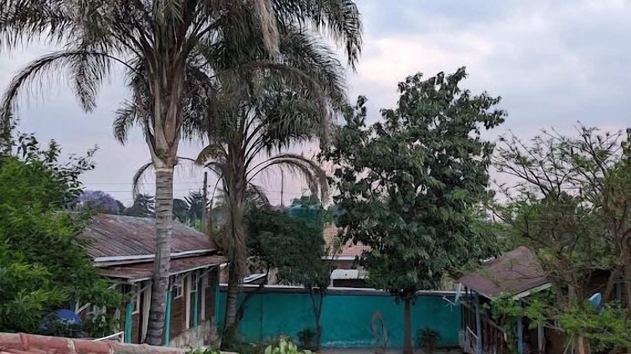 Photo of Outdoor in Harare