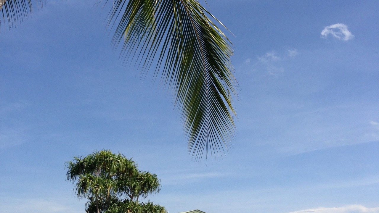 Photo of Outdoor in Madang