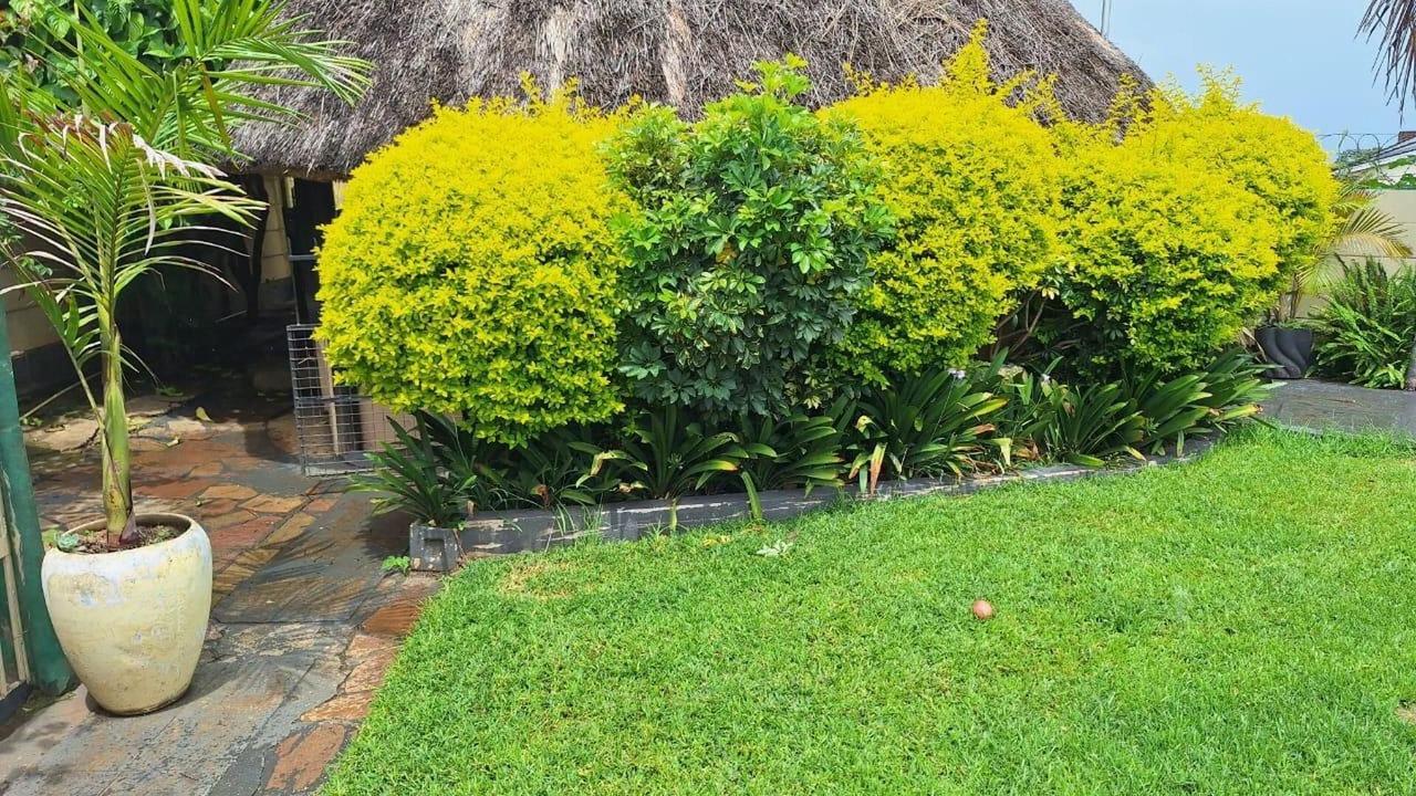 Photo of Outdoor in Harare
