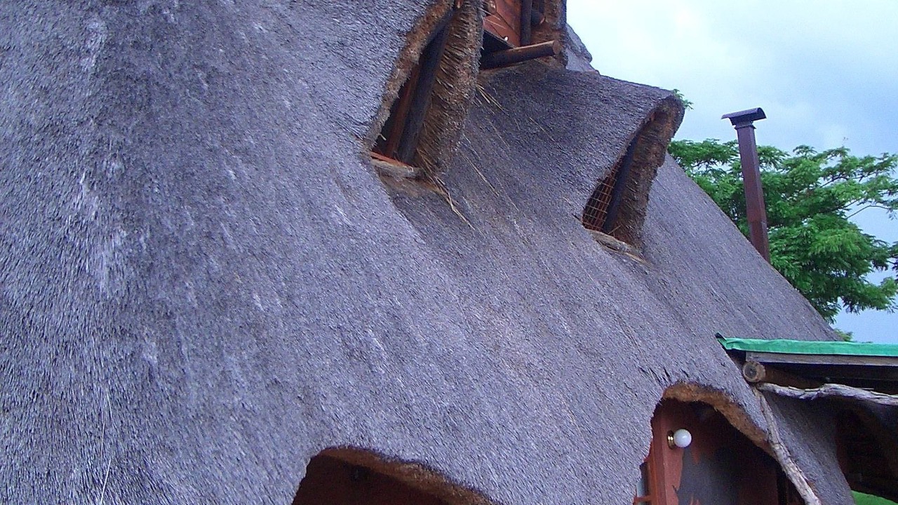 Photo of Outdoor in Kwekwe