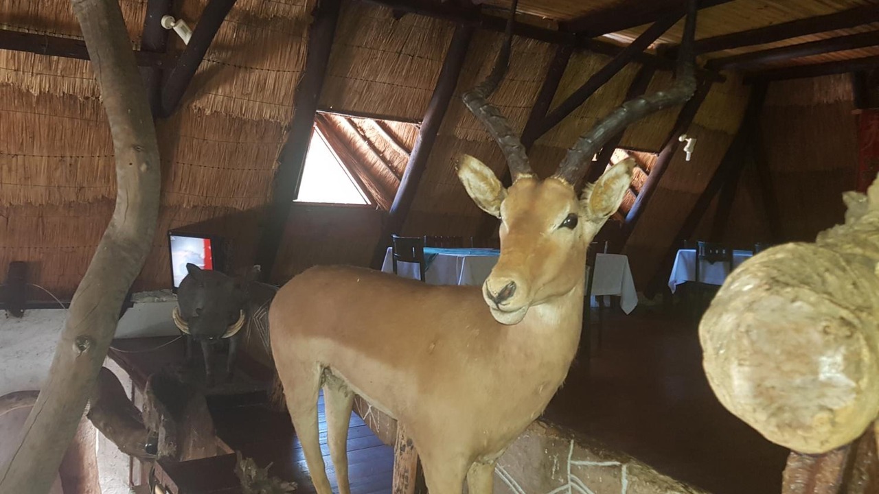 Photo of Others in Kwekwe