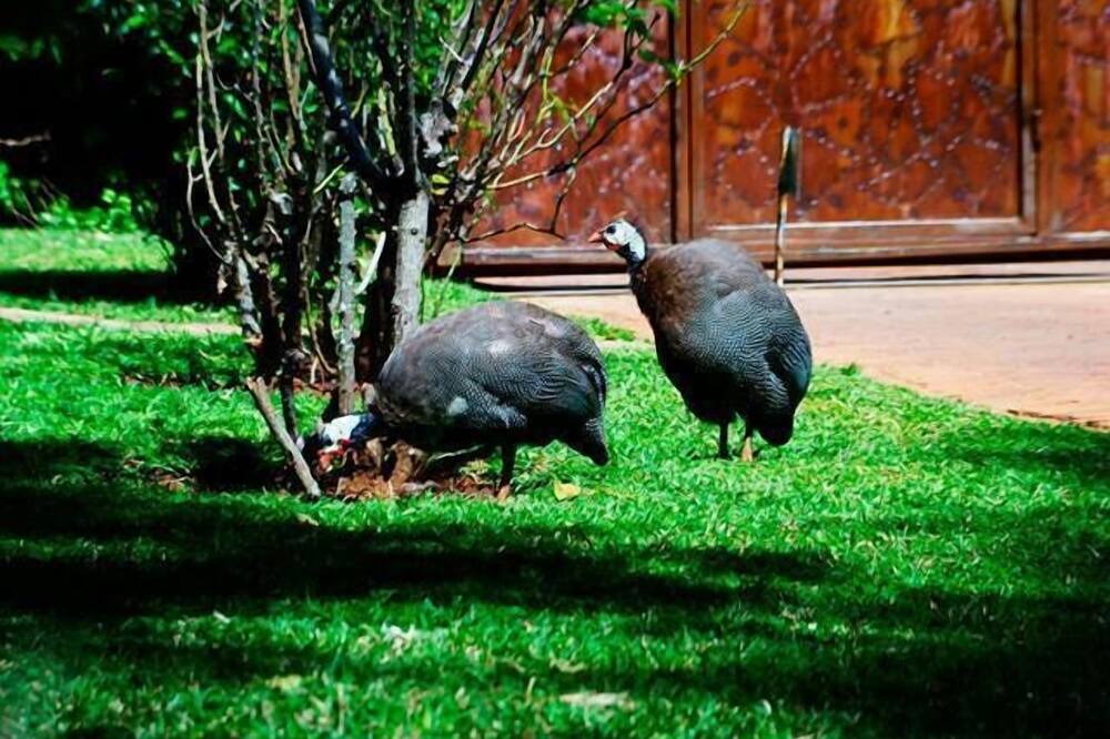 Photo of Outdoor in Harare East