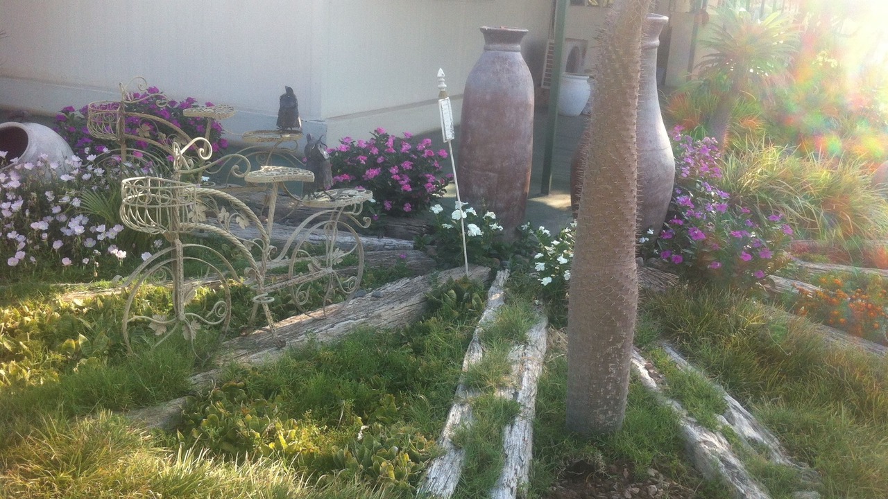 Photo of Outdoor in Sherwood