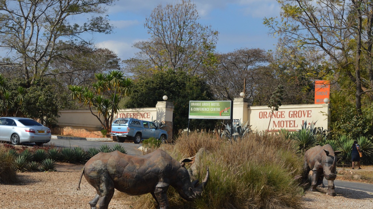 Photo of Others in Chinhoyi