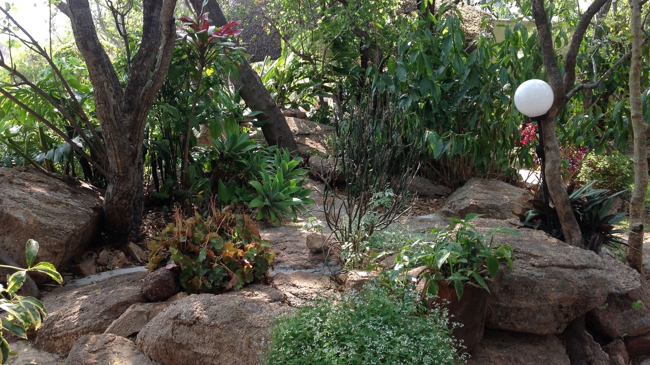 Photo of Outdoor in Bulawayo