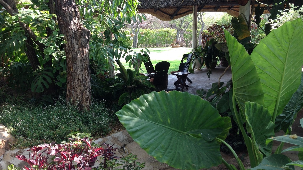 Photo of Outdoor in Bulawayo