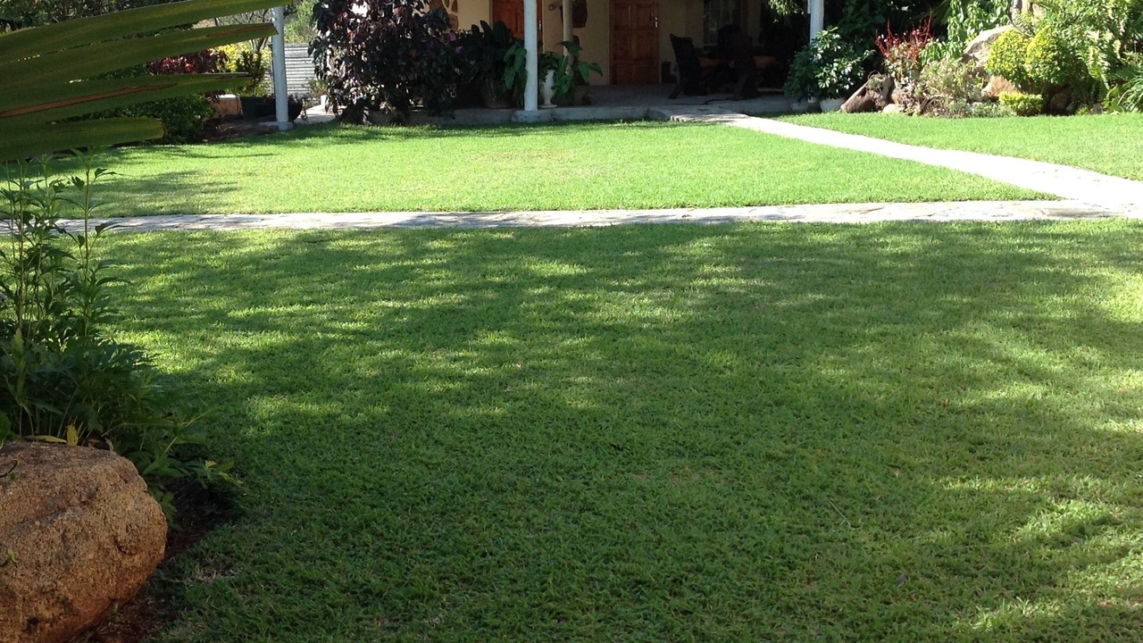 Photo of Outdoor in Bulawayo