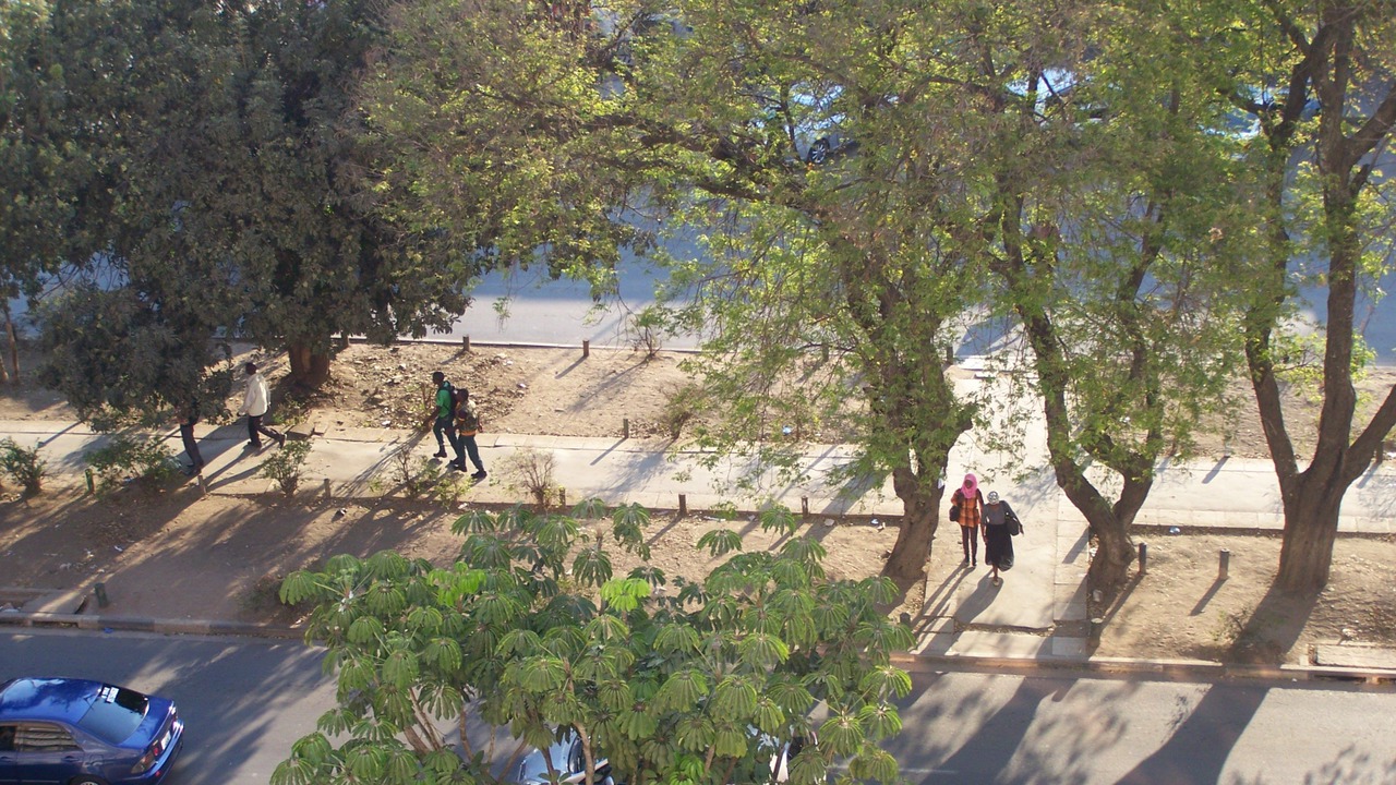 Photo of Others in Chiawa Conservancy