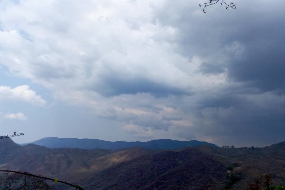 Photo of Others in Mutare