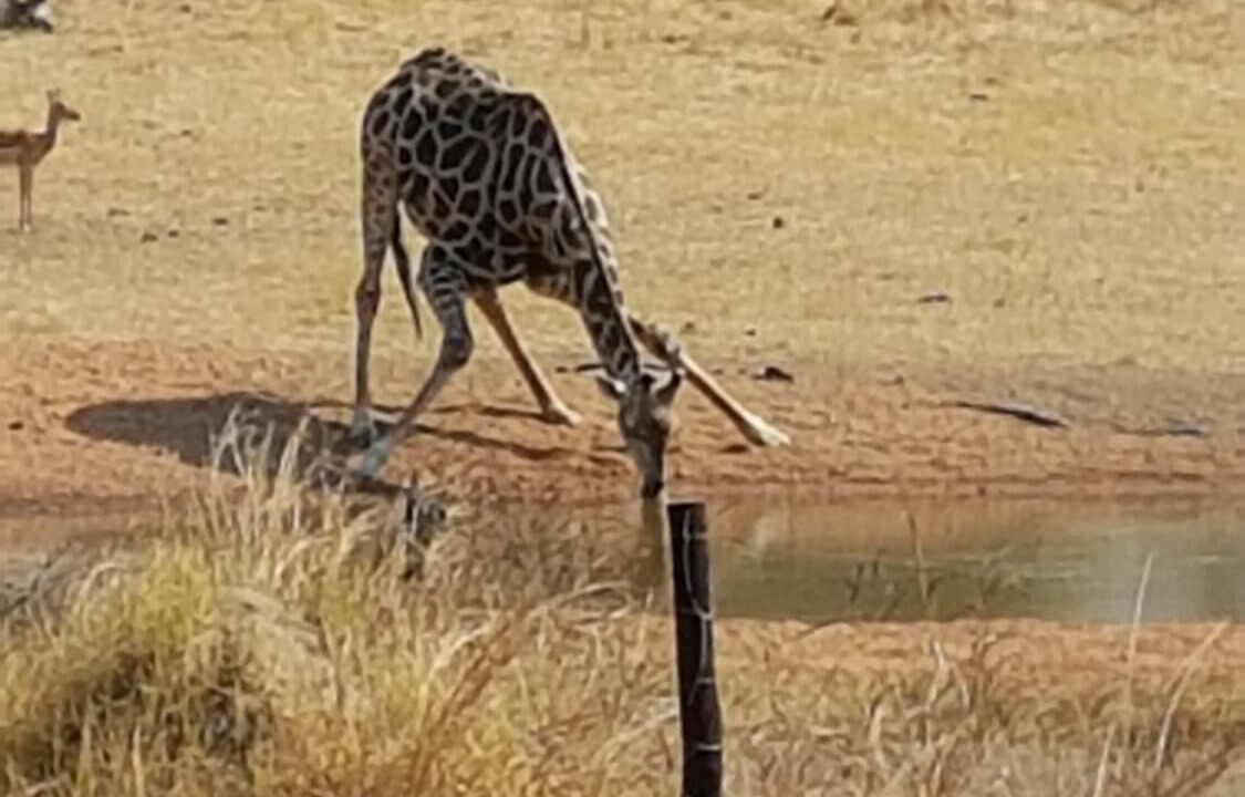 Photo of Outdoor in Gwayi River Farms