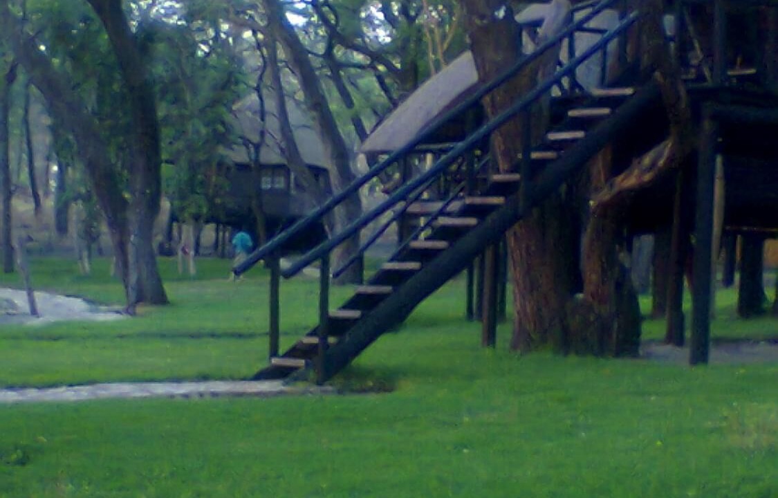 Photo of Outdoor in Gwayi River Farms