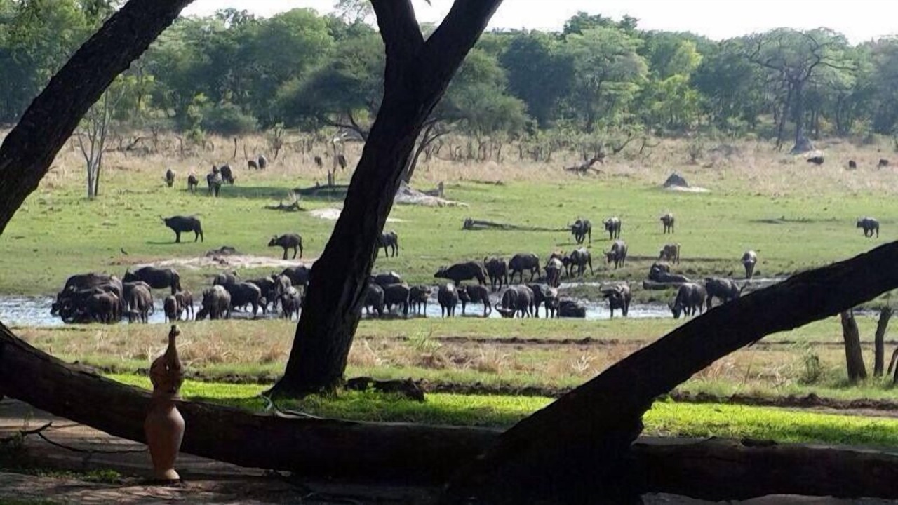 Photo of Others in Gwayi River Farms