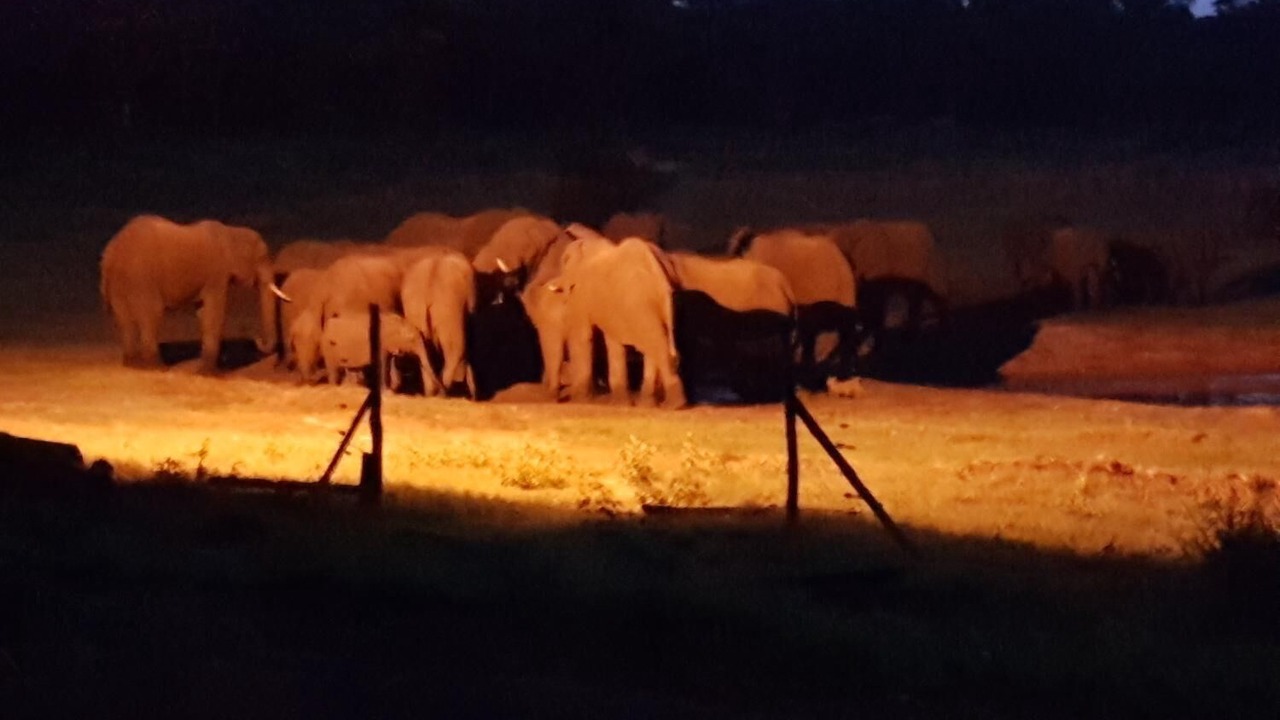 Photo of Others in Gwayi River Farms