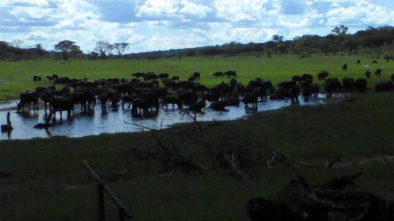 Photo of Outdoor in Gwayi River Farms