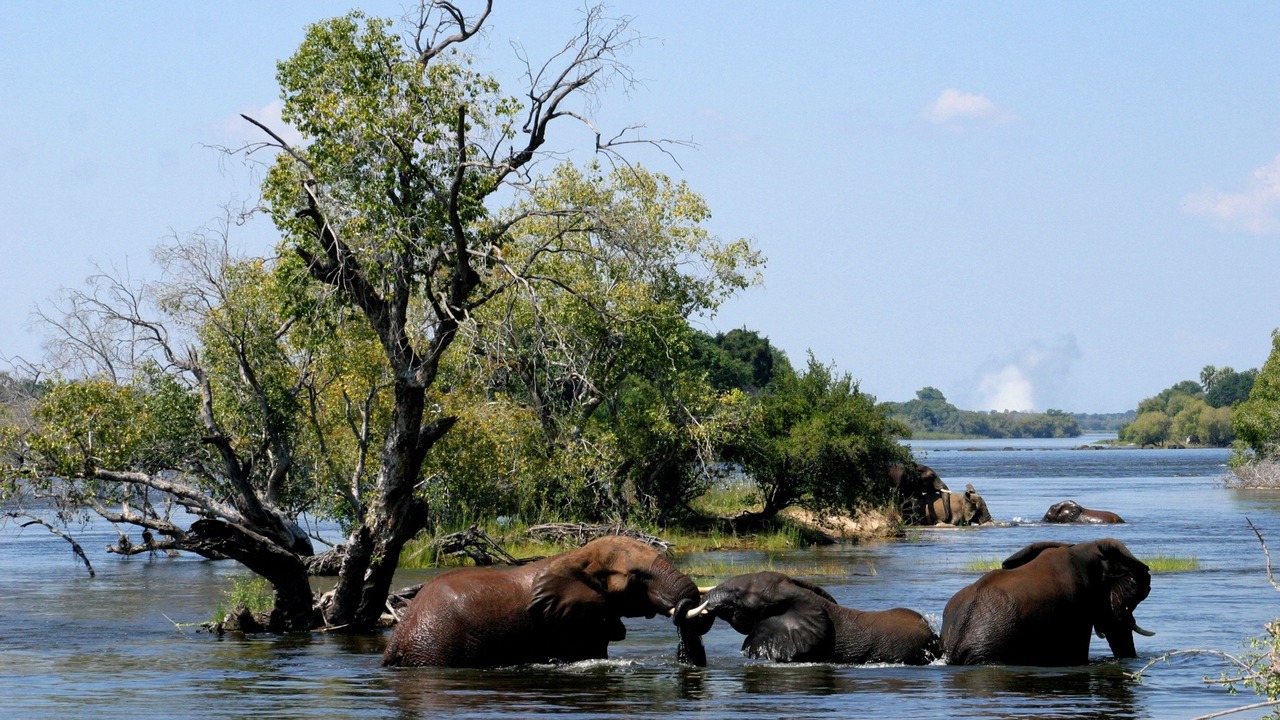 Photo of Outdoor in Victoria Falls