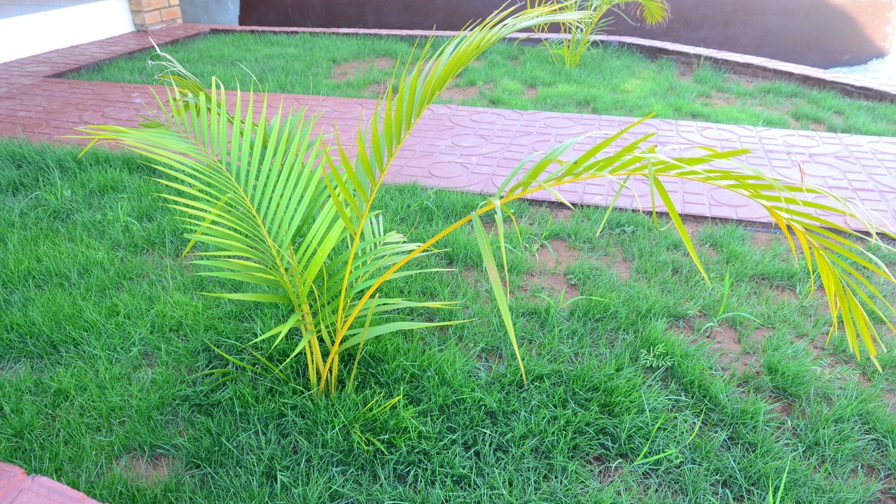 Photo of Outdoor in Livingstone