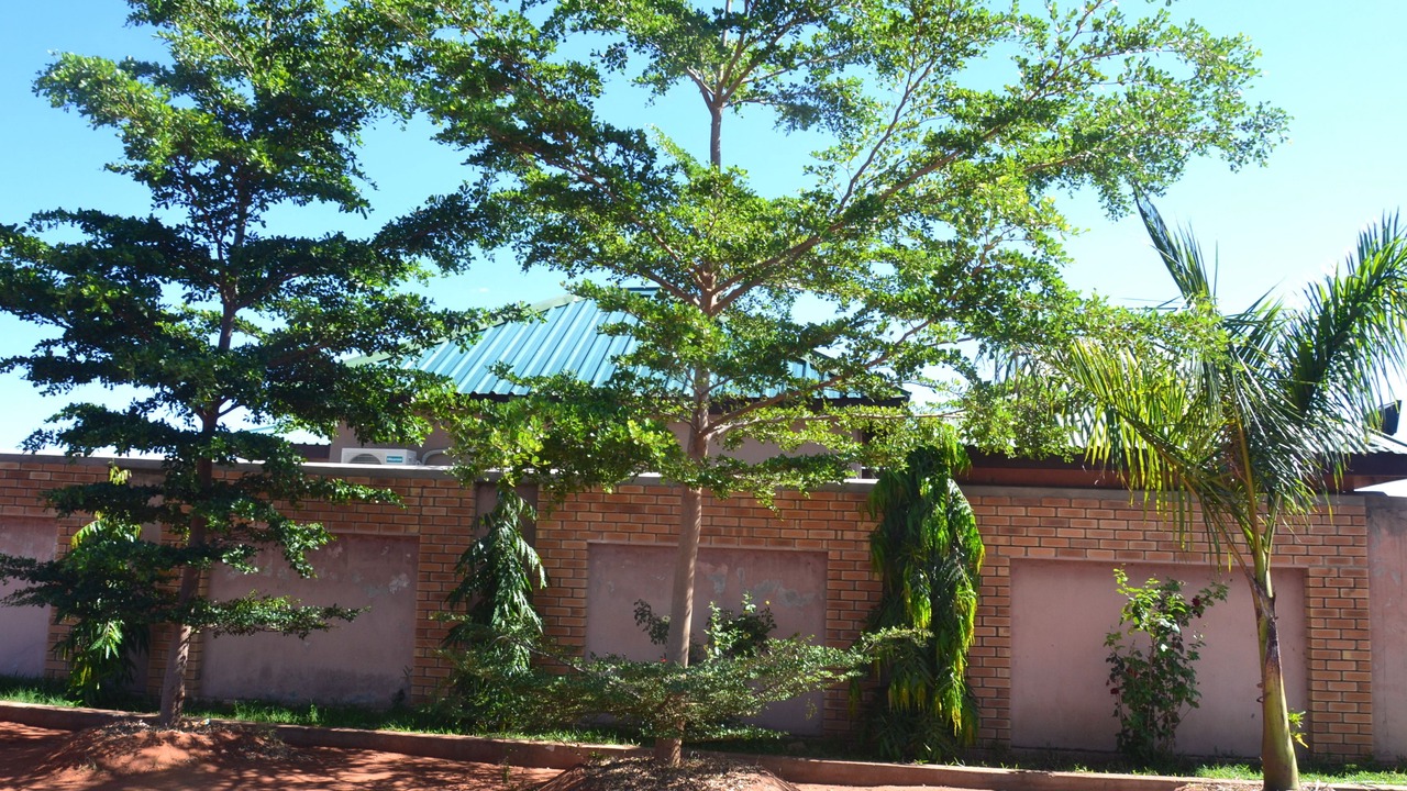 Photo of Outdoor in Livingstone